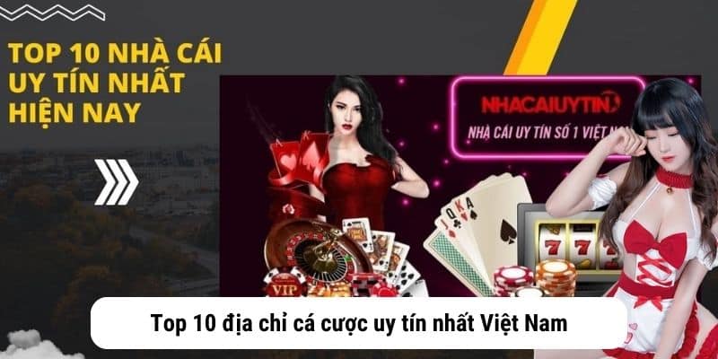 Top 10 địa chỉ cá cược uy tín nhất Việt Nam